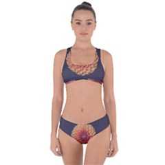 Art Beautiful Bloom Blossom Bright Criss Cross Bikini Set by Nexatart