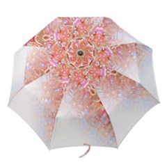 Effect Isolated Graphic Folding Umbrellas by Nexatart