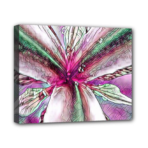 Flower Purple Haze Canvas 10  X 8  by KAllan