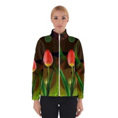 Tulip Flower Background Nebulous Winterwear by Nexatart