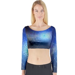 Network Cobweb Networking Bill Long Sleeve Crop Top by Nexatart