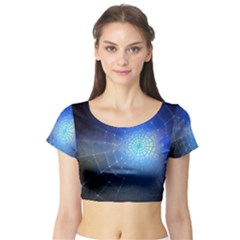 Network Cobweb Networking Bill Short Sleeve Crop Top (tight Fit) by Nexatart