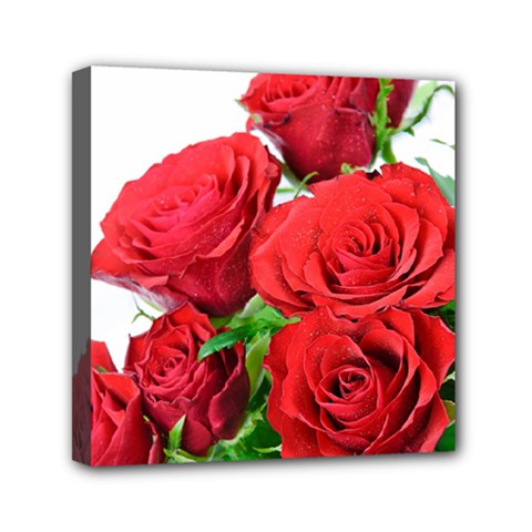 A Bouquet Of Roses On A White Background Mini Canvas 6  X 6  by Nexatart