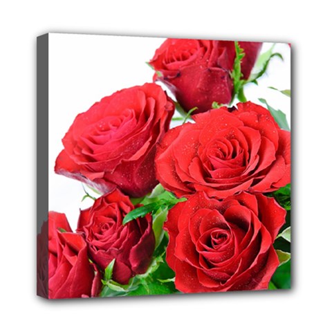 A Bouquet Of Roses On A White Background Mini Canvas 8  X 8  by Nexatart