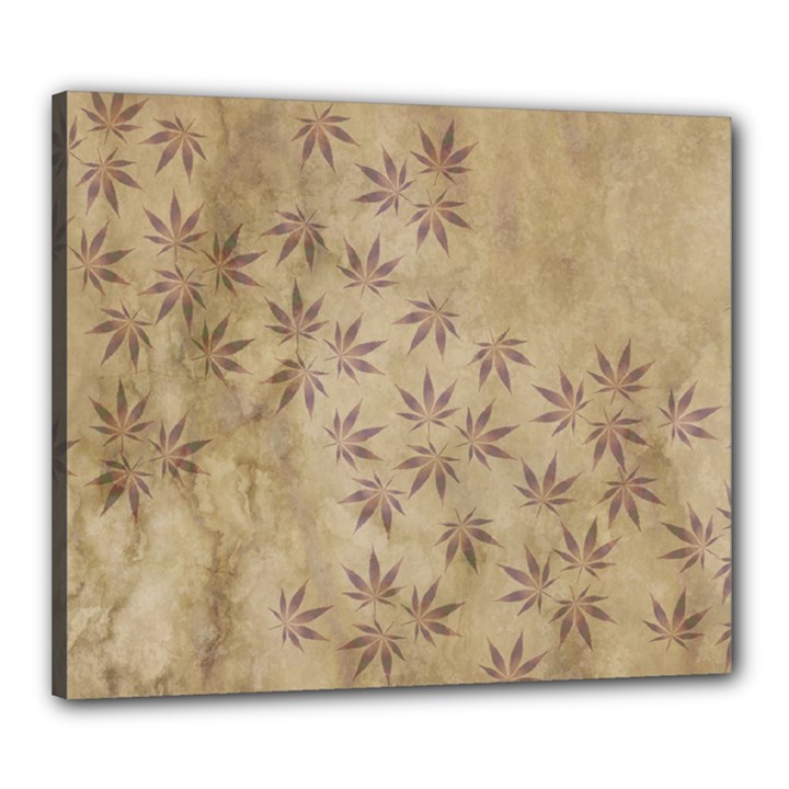 Parchment Paper Old Leaves Leaf Canvas 24  x 20 