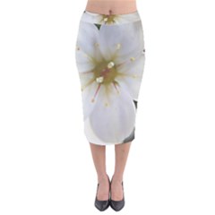 Summer Fun Velvet Midi Pencil Skirt by KAllan