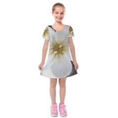 Summer Fun Kids  Short Sleeve Velvet Dress by KAllan