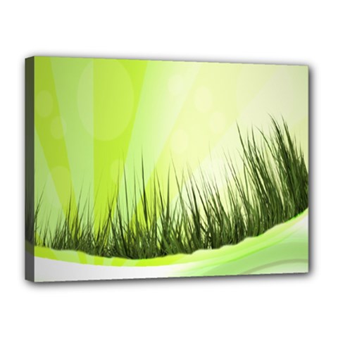 Green Background Wallpaper Texture Canvas 16  X 12  by Nexatart