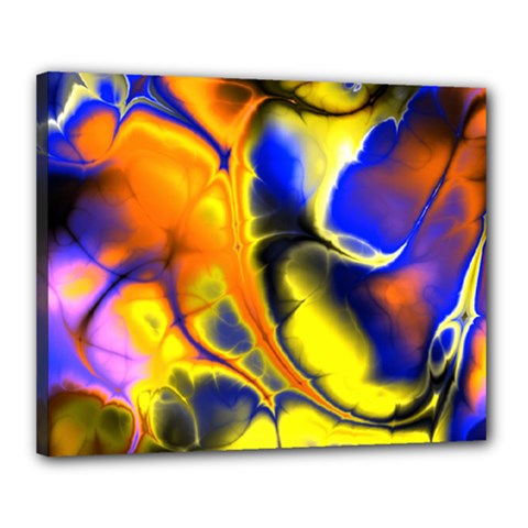 Fractal Art Pattern Cool Canvas 20  X 16 