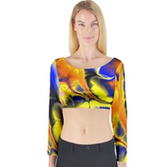 Fractal Art Pattern Cool Long Sleeve Crop Top by Nexatart