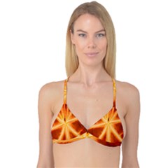 Red Leaf Macro Detail Reversible Tri Bikini Top by Nexatart