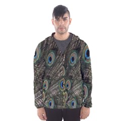 Close Up Of Peacock Feathers Hooded Wind Breaker (men)