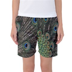 Close Up Of Peacock Feathers Women s Basketball Shorts