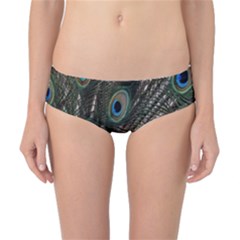 Close Up Of Peacock Feathers Classic Bikini Bottoms by Nexatart