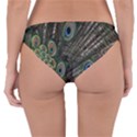 Close Up Of Peacock Feathers Reversible Hipster Bikini Bottoms View4