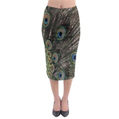 Close Up Of Peacock Feathers Midi Pencil Skirt by Nexatart