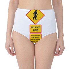 Bigfoot High-Waist Bikini Bottoms