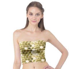 Cleopatras Gold Tube Top