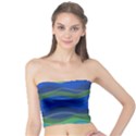 Geometric Line Wave Chevron Waves Novelty Tube Top View1