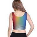 Rainbow Flag Simple Crop Top View3