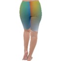 Rainbow Flag Simple Cropped Leggings  View4