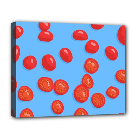 Tomatoes Fruite Slice Red Deluxe Canvas 20  X 16  