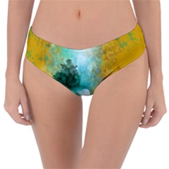 Turquoise River Reversible Classic Bikini Bottoms