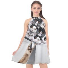 Black & Gray Cats Face Halter Neckline Chiffon Dress 