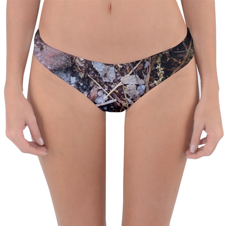 Transition Reversible Hipster Bikini Bottoms