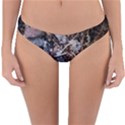 Transition Reversible Hipster Bikini Bottoms View3