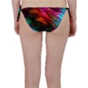 Rainbow Shake Light Line Bikini Bottom View2