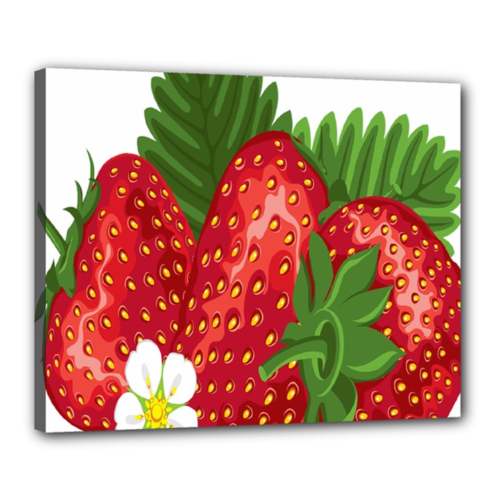 Strawberry Red Seed Leaf Green Canvas 20  x 16 