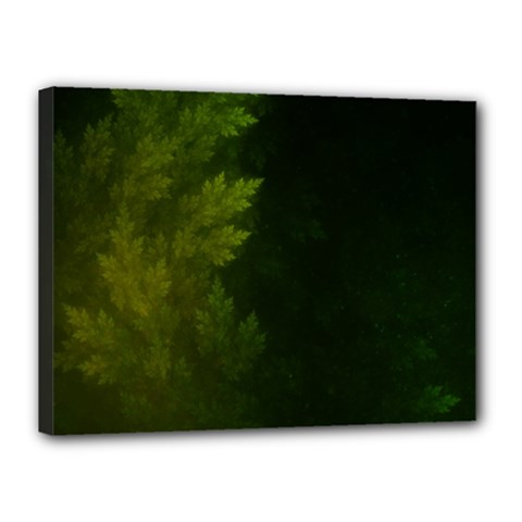 Beautiful Fractal Pines In The Misty Spring Night Canvas 16  X 12  by jayaprime