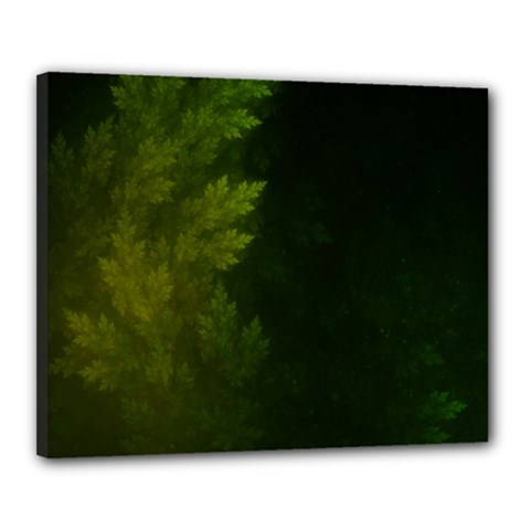 Beautiful Fractal Pines In The Misty Spring Night Canvas 20  X 16  by jayaprime