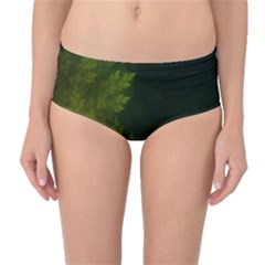 Beautiful Fractal Pines In The Misty Spring Night Mid-waist Bikini Bottoms by jayaprime