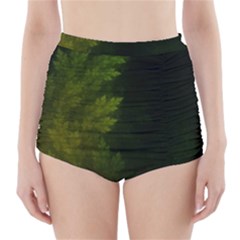 Beautiful Fractal Pines In The Misty Spring Night High-waisted Bikini Bottoms by jayaprime