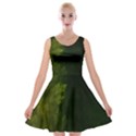 Beautiful Fractal Pines In The Misty Spring Night Velvet Skater Dress View1