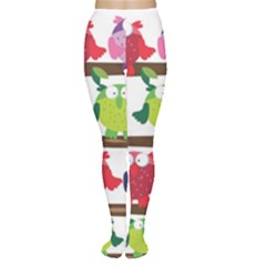 Funny Owls Sitting On A Branch Pattern Postcard Rainbow Women s Tights by Mariart