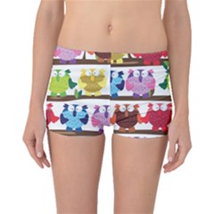 Funny Owls Sitting On A Branch Pattern Postcard Rainbow Boyleg Bikini Bottoms