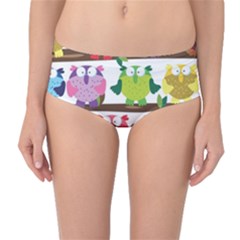 Funny Owls Sitting On A Branch Pattern Postcard Rainbow Mid-Waist Bikini Bottoms