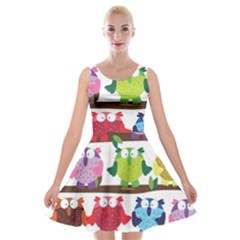 Funny Owls Sitting On A Branch Pattern Postcard Rainbow Velvet Skater Dress