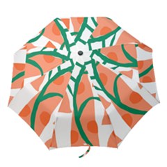 Portraits Plants Carrot Polka Dots Orange Green Folding Umbrellas by Mariart