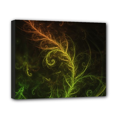 Fractal Hybrid Of Guzmania Tuti Fruitti And Ferns Canvas 10  X 8  by jayaprime