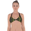 Fractal Hybrid Of Guzmania Tuti Fruitti and Ferns Halter Neck Bikini Top View1