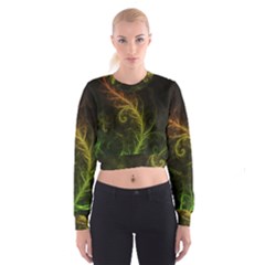 Fractal Hybrid Of Guzmania Tuti Fruitti And Ferns Cropped Sweatshirt by jayaprime