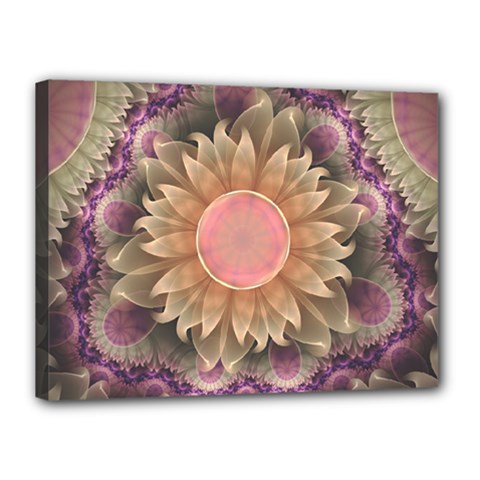 Pastel Pearl Lotus Garden Of Fractal Dahlia Flowers Canvas 16  X 12  by jayaprime