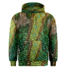 Chameleon Skin Texture Men s Pullover Hoodie by BangZart