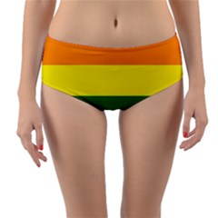 Pride Rainbow Flag Reversible Mid-waist Bikini Bottoms by Valentinaart