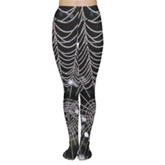 Spider Web Wallpaper 14 Women s Tights by BangZart