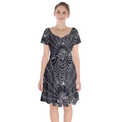 Spider Web Wallpaper 14 Short Sleeve Bardot Dress